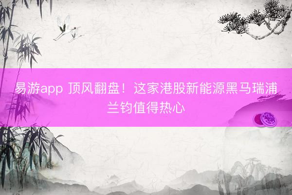 易游app 顶风翻盘！这家港股新能源黑马瑞浦兰钧值得热心