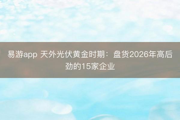 易游app 天外光伏黄金时期：盘货2026年高后劲的15家企业