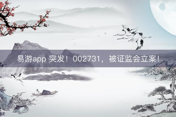 易游app 突发！002731，被证监会立案！