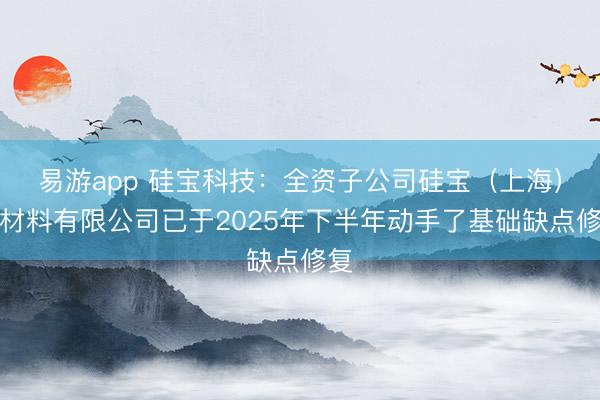 易游app 硅宝科技：全资子公司硅宝（上海）新材料有限公司已于2025年下半年动手了基础缺点修复