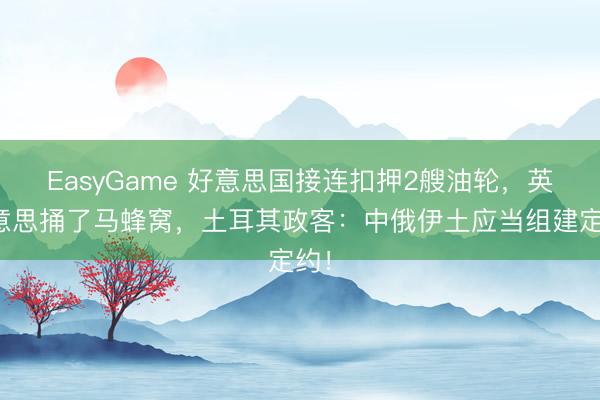 EasyGame 好意思国接连扣押2艘油轮，英好意思捅了马蜂窝，土耳其政客：中俄伊土应当组建定约！