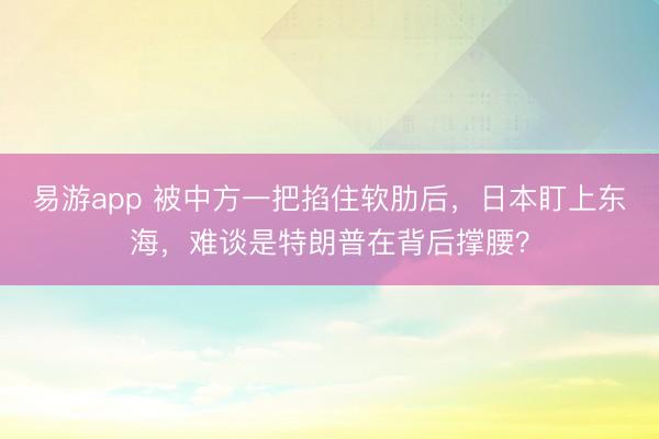 易游app 被中方一把掐住软肋后，日本盯上东海，难谈是特朗普在背后撑腰？