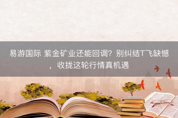 易游国际 紫金矿业还能回调？别纠结T飞缺憾，收拢这轮行情真机遇