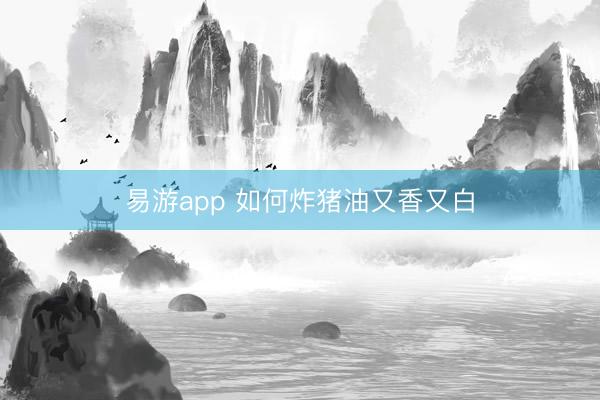 易游app 如何炸猪油又香又白