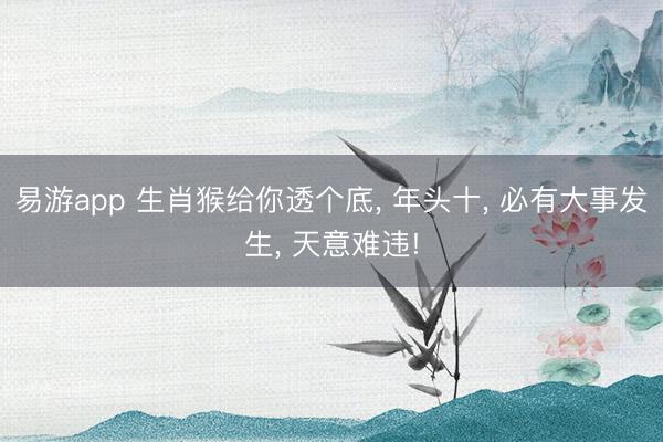 易游app 生肖猴给你透个底， 年头十， 必有大事发生， 天意难违!