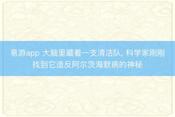 易游app 大脑里藏着一支清洁队, 科学家刚刚找到它造反阿尔茨海默病的神秘