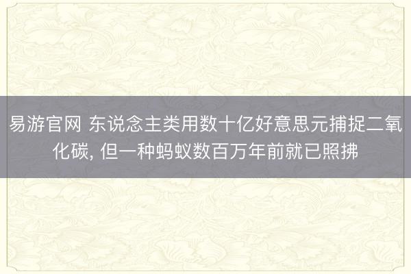 易游官网 东说念主类用数十亿好意思元捕捉二氧化碳， 但一种蚂蚁数百万年前就已照拂