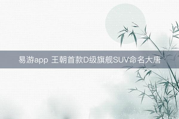 易游app 王朝首款D级旗舰SUV命名大唐