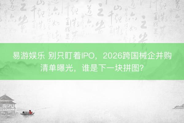 易游娱乐 别只盯着IPO，2026跨国械企并购清单曝光，谁是下一块拼图？