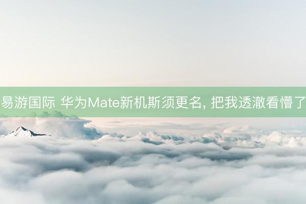 易游国际 华为Mate新机斯须更名, 把我透澈看懵了