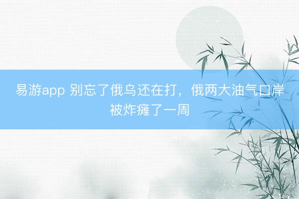 易游app 别忘了俄乌还在打，俄两大油气口岸被炸瘫了一周