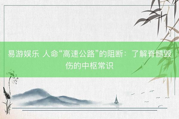 易游娱乐 人命“高速公路”的阻断:了解脊髓毁伤的中枢常识