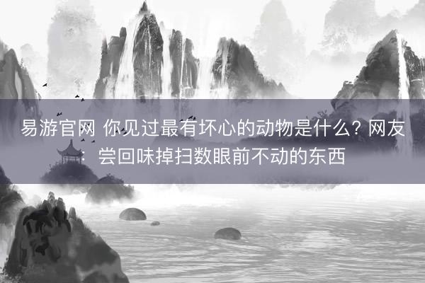 易游官网 你见过最有坏心的动物是什么? 网友：尝回味掉扫数眼前不动的东西