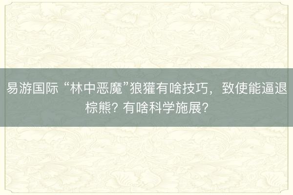 易游国际 “林中恶魔”狼獾有啥技巧,致使能逼退棕熊? 有啥科学施展?