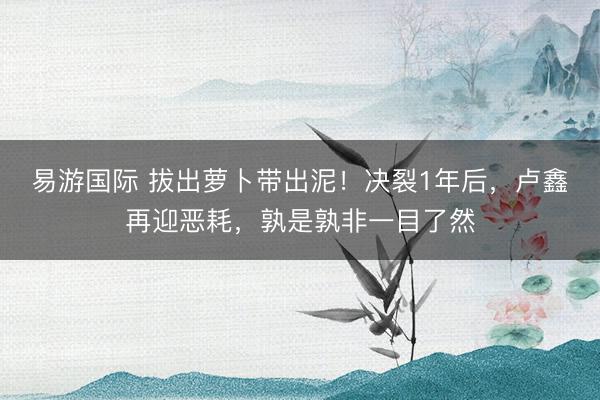 易游国际 拔出萝卜带出泥!决裂1年后,卢鑫再迎恶耗,孰是孰非一目了然