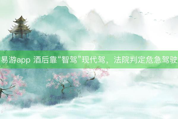 易游app 酒后靠“智驾”现代驾,法院判定危急驾驶