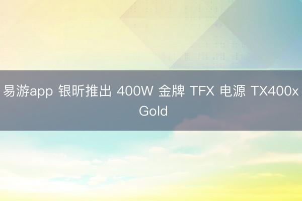 易游app 银昕推出 400W 金牌 TFX 电源 TX400x Gold