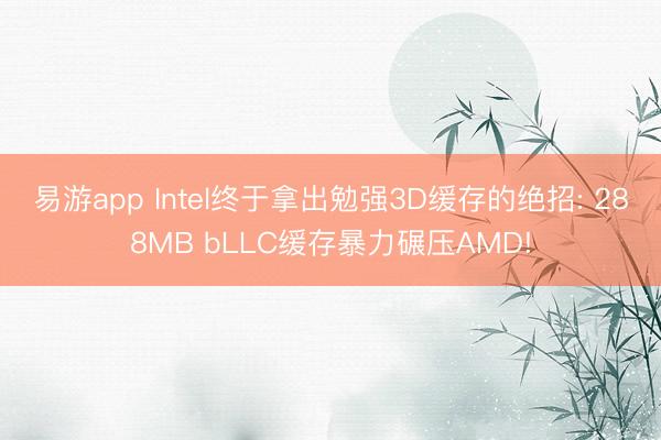 易游app Intel终于拿出勉强3D缓存的绝招: 288MB bLLC缓存暴力碾压AMD!
