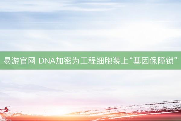 易游官网 DNA加密为工程细胞装上“基因保障锁”
