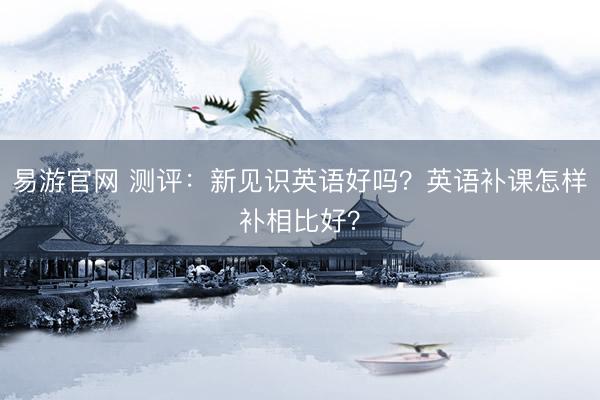 易游官网 测评：新见识英语好吗？英语补课怎样补相比好？