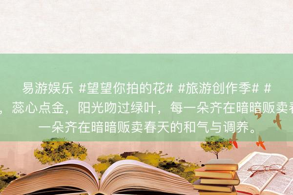 易游娱乐 #望望你拍的花# #旅游创作季# #松一松# 白花如雪，蕊心点金，阳光吻过绿叶，每一朵齐在暗暗贩卖春天的和气与调养。