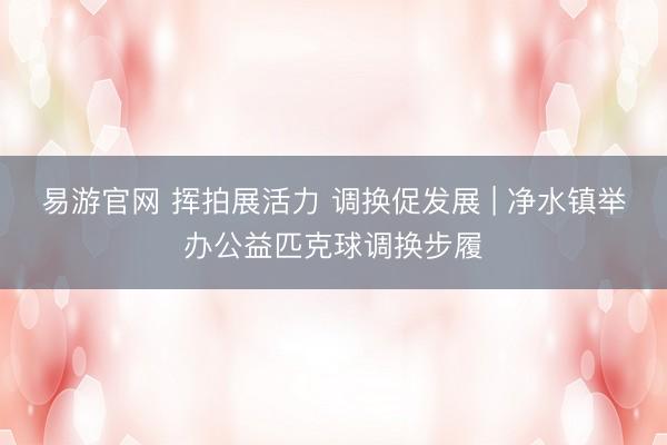 易游官网 挥拍展活力 调换促发展 | 净水镇举办公益匹克球调换步履