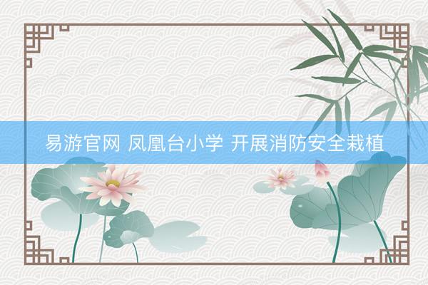 易游官网 凤凰台小学 开展消防安全栽植