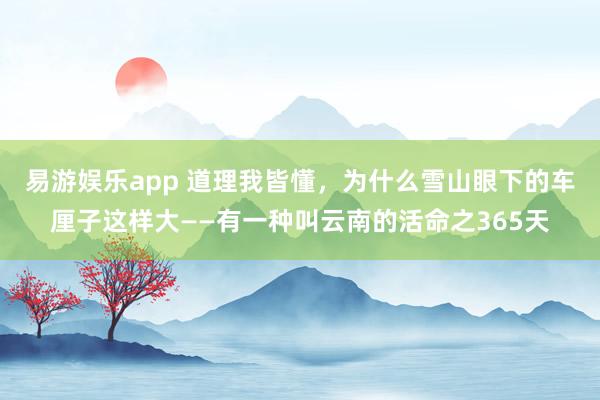 易游娱乐app 道理我皆懂，为什么雪山眼下的车厘子这样大——有一种叫云南的活命之365天