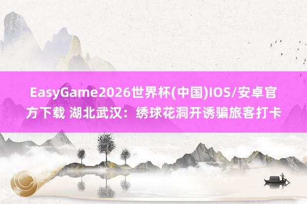 EasyGame2026世界杯(中国)IOS/安卓官方下载 湖北武汉：绣球花洞开诱骗旅客打卡
