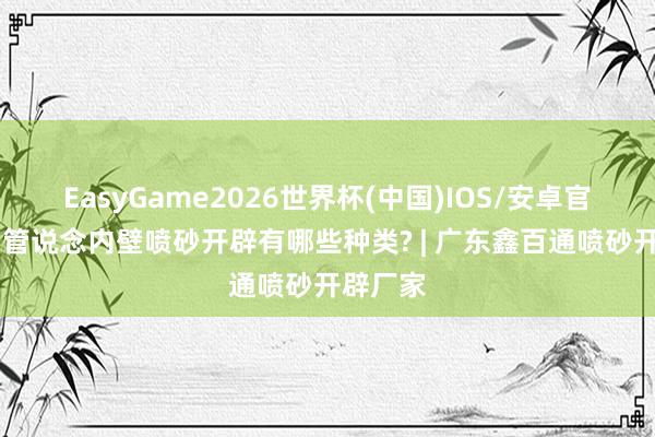 EasyGame2026世界杯(中国)IOS/安卓官方下载 管说念内壁喷砂开辟有哪些种类? | 广东鑫百通喷砂开辟厂家