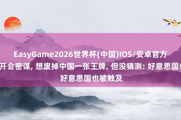 EasyGame2026世界杯(中国)IOS/安卓官方下载 G7开会密谋, 想废掉中国一张王牌, 但没猜测: 好意思国也被触及