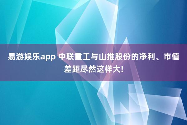 易游娱乐app 中联重工与山推股份的净利、市值差距尽然这样大!