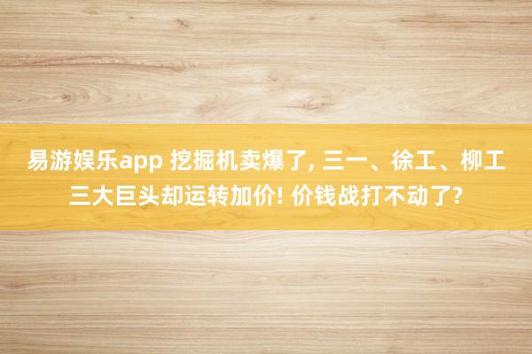 易游娱乐app 挖掘机卖爆了, 三一、徐工、柳工三大巨头却运转加价! 价钱战打不动了?