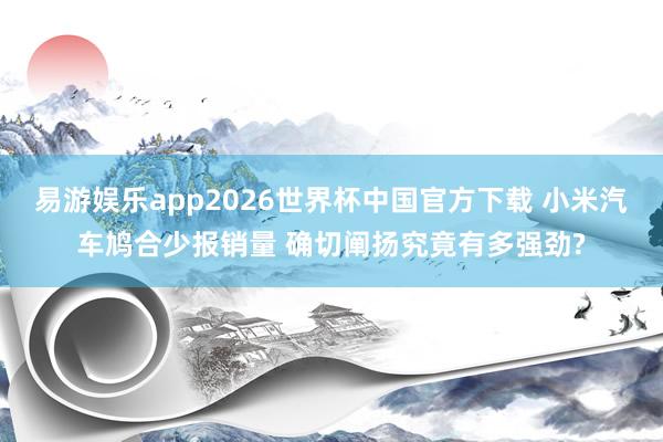 易游娱乐app2026世界杯中国官方下载 小米汽车鸠合少报销量 确切阐扬究竟有多强劲?