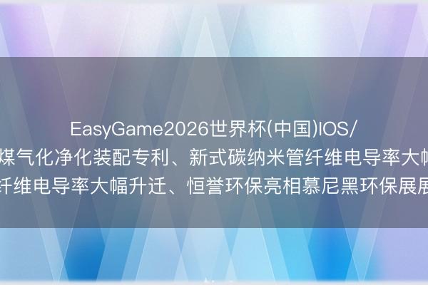 EasyGame2026世界杯(中国)IOS/安卓官方下载 天业汇合获煤气化净化装配专利、新式碳纳米管纤维电导率大幅升迁、恒誉环保亮相慕尼黑环保展展示热解时刻