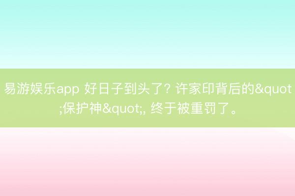易游娱乐app 好日子到头了? 许家印背后的"保护神", 终于被重罚了。
