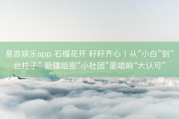 易游娱乐app 石榴花开 籽籽齐心丨从“小白”到“台柱子” 新疆哈密“小社团”里唱响“大认可”