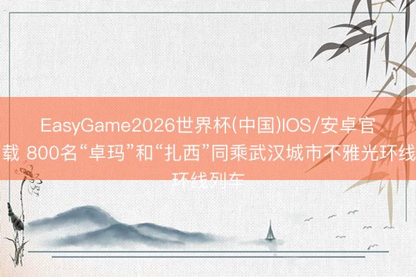 EasyGame2026世界杯(中国)IOS/安卓官方下载 800名“卓玛”和“扎西”同乘武汉城市不雅光环线列车