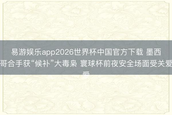 易游娱乐app2026世界杯中国官方下载 墨西哥合手获“候补”大毒枭 寰球杯前夜安全场面受关爱